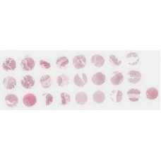 CO241b
