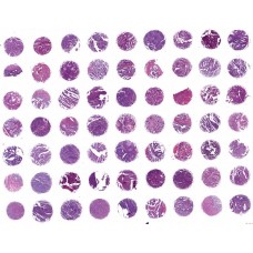 EM631a