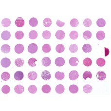GL481b