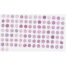 HIBD-Ade100PG-01
