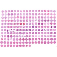 KD2084a