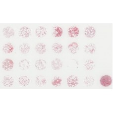 LCN241a