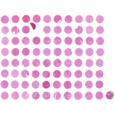LV8014
