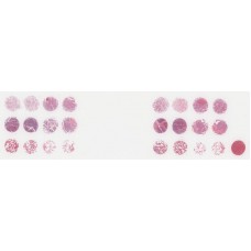 T043b
