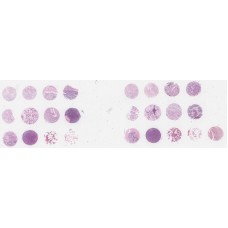 T045e