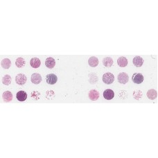 T045f
