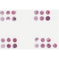 T046a