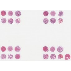 T047a