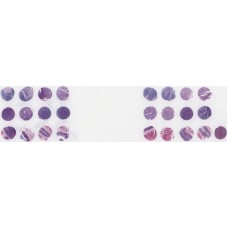 T053c