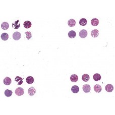 T055a