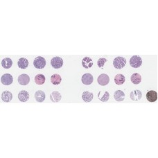 T091