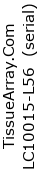 Slide Label: TissueArray.Com Tissue Array