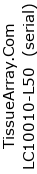 Slide Label: TissueArray.Com Tissue Array
